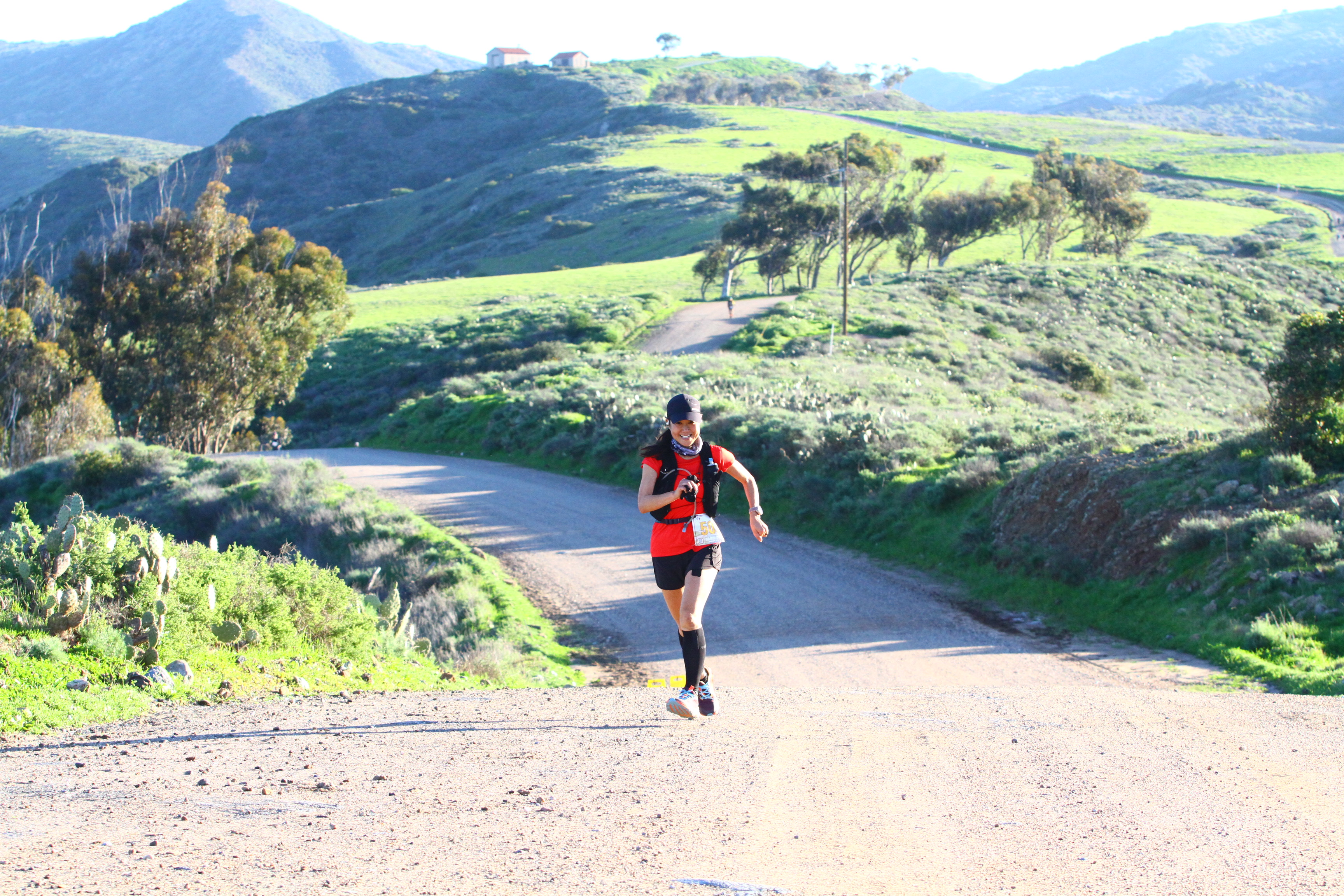 Rolling green hills in the island interior