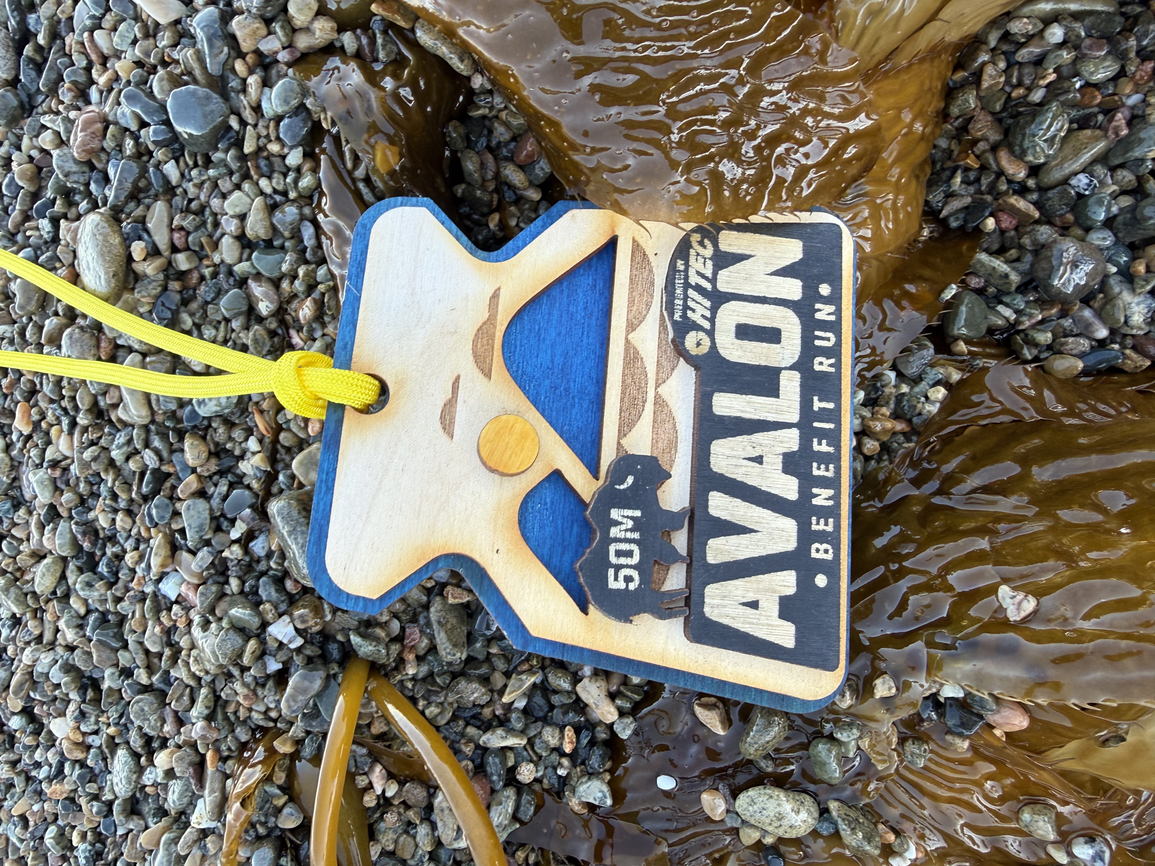 The beautiful 50M finisher medal